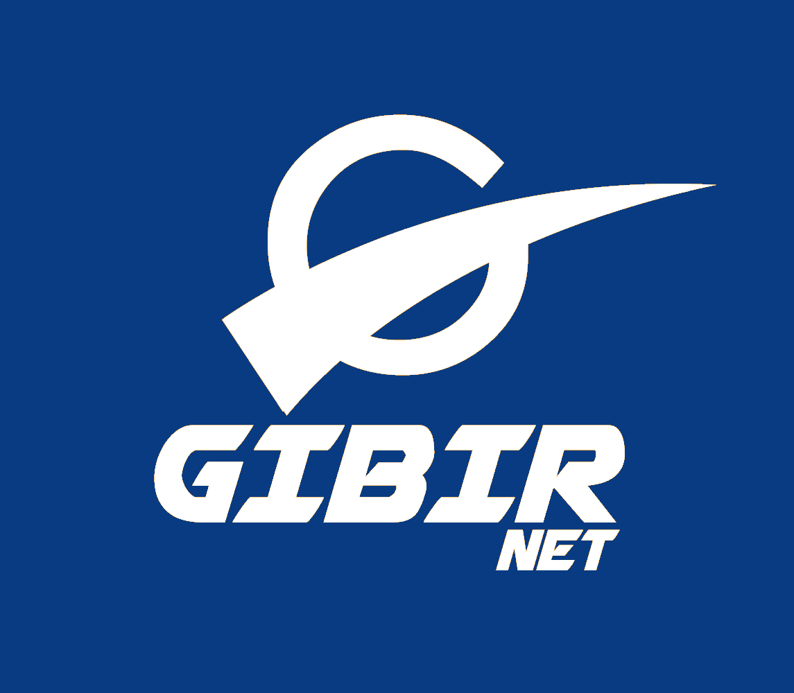 GIBIRNet online islemler logo